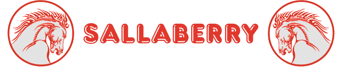 Logo SALLABERRY